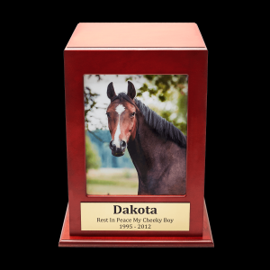 Horse Photo Box